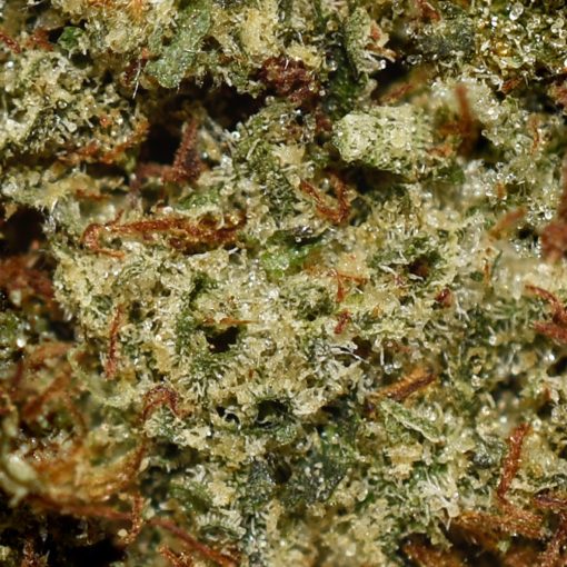 Strawberry AA By (Pineapple Buds) - Image 2
